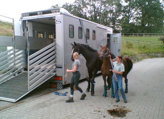 Danish trucking partner, Vagn's Horse Transport